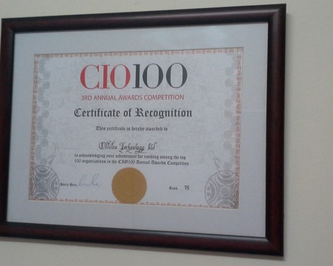 Olivine Technology CIO 100